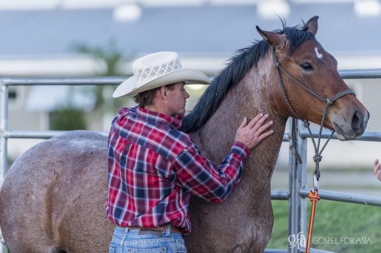 What A Horse Showed Me About Healing (at Gospel For Asia) | GFA Staff ...