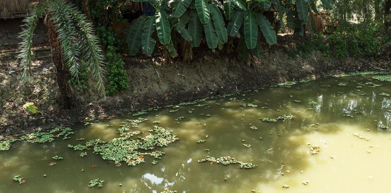 Many people in Asia draw water from smelly, vile ponds - KP Yohannan - Gospel for Asia