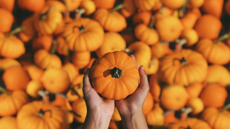 For the Love of Pumpkins, "Do What You Are Doing!" - KP Yohannan - Gospel for Asia
