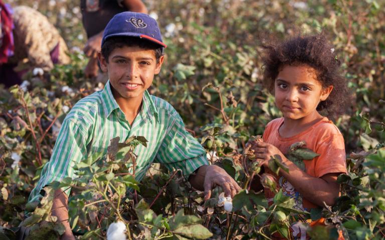 These children labor in Turkey’s cotton fields in hard conditions. During cotton season, they cannot go to school.