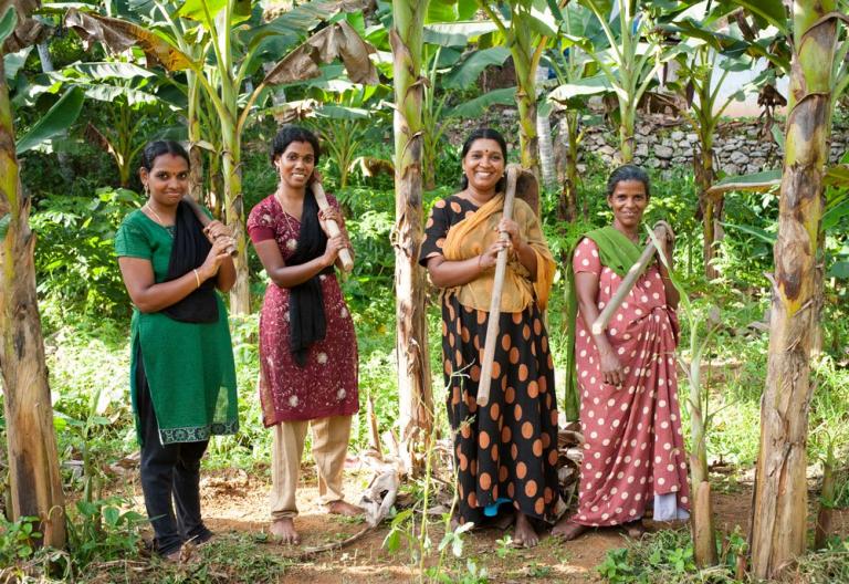 Poverty Reduction: These four women were provided micro-loans. They now work a piece of land together that they are renting with the loan.