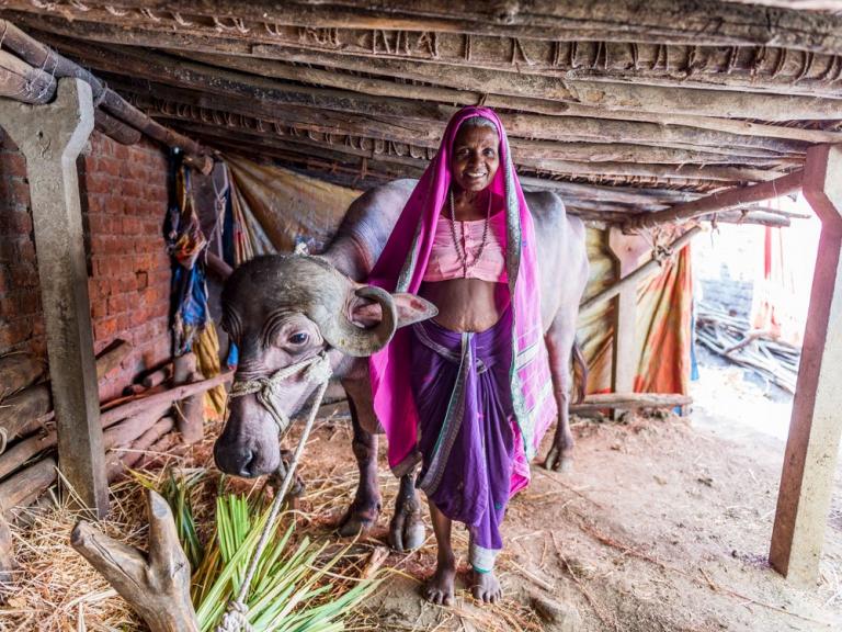 Poverty Elimination via a Water Buffalo in Asia