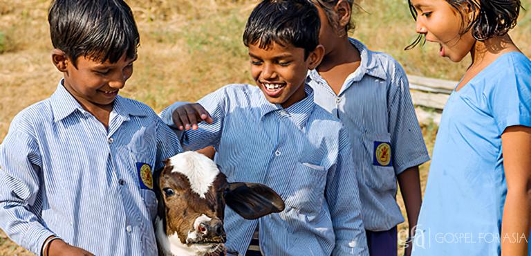 Gospel for Asia (GFA World) founded by Dr. K.P. Yohannan: God has used the gift of a cow to sustain Kalapi’s family. Kalapi’s children have grown stronger and healthier by drinking the cow’s milk.