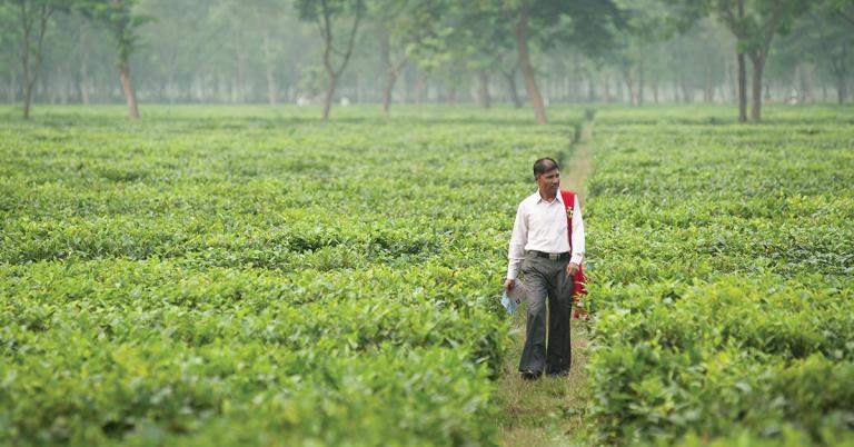 Gospel for Asia founded by Dr. K.P. Yohannan: Discussing the harsh life of those living in tea estates, and the Gospel for Asia-supported pastor who show in many ways how much Jesus loves them.