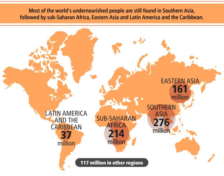 Undernourishment and chronic hunger worldwide