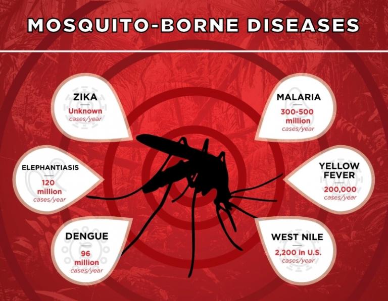 Mosquito-borne diseases