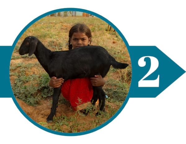 Giving Goats as Income-Generating Tools