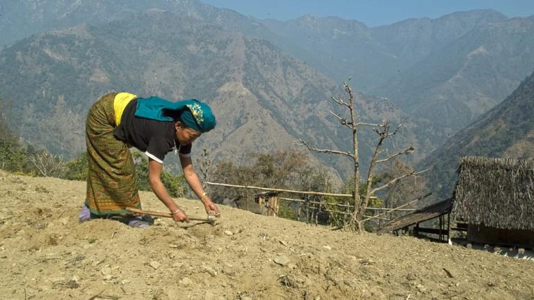 Widow from Nepal toiling in labor