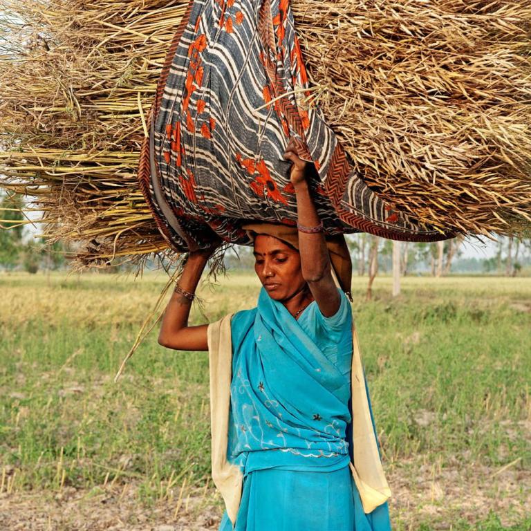 Woman toiling in labor to provide for her family.