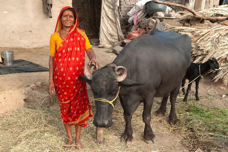 A woman received the gift of a water buffalo, a game changer for her family trapped in debilitating poverty.