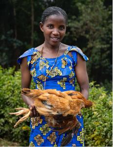 give farm animals for Christmas