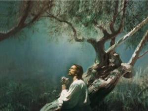 Jesus in the garden of gethsemane