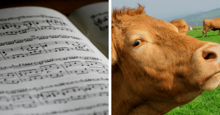 Religion is Like Music or a Cow