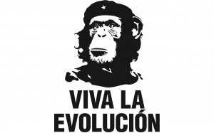 Viva-La-Evolution