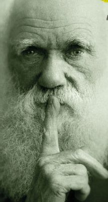 Darwin finger to mouth