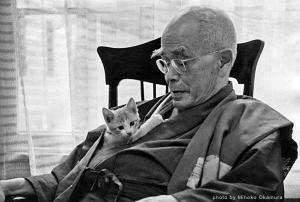 Suzuki with cat