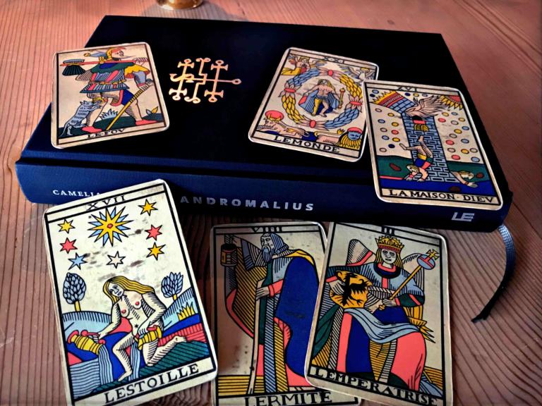 A surprising portrait of the fortuneteller - Vimarsana News