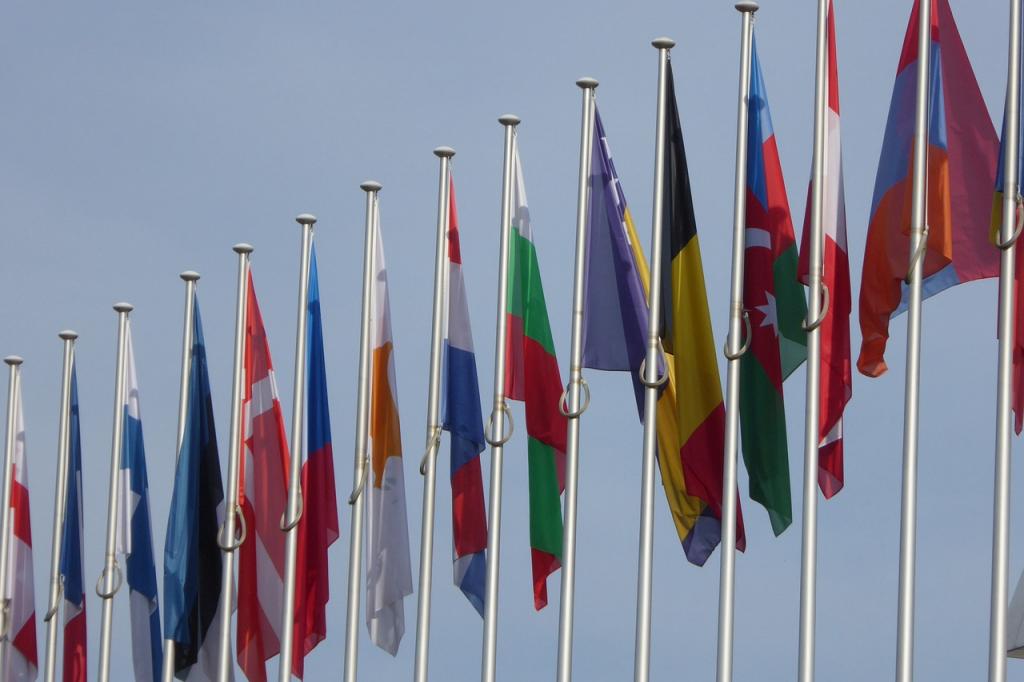 Flags of the member-states of the EU (Pixabay)
