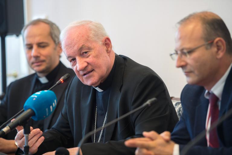 Cardinal Condemns “Unfair” Viganò “Rebellion” Against Pope | Cameron Doody