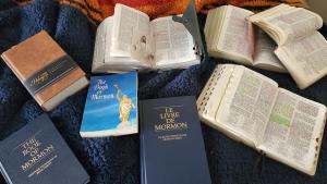 LightTheWorld Book of Mormon