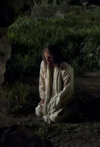 Jesus Christ praying in Gethsemane
