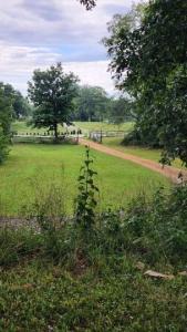 Looking back towards Sidney Gilbert's farm