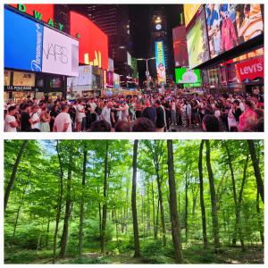 Times Square vs The Sacred Grove