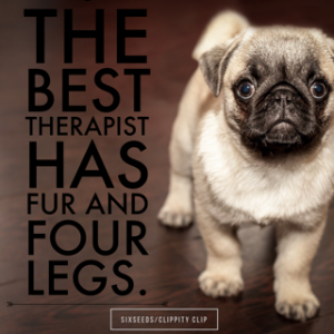5 of the best quotes about dogs-1