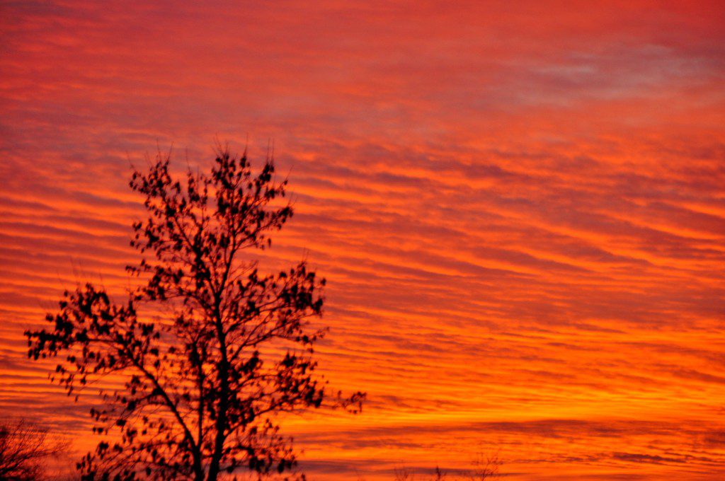 Sunset closeup