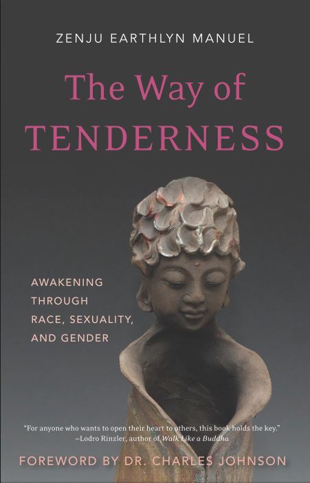 The Way of Tenderness  Awakening Through Race, Sexuality and Gender