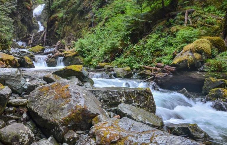 Ipsut Falls - Mount Rainier National Park (Copyright 2017, author)