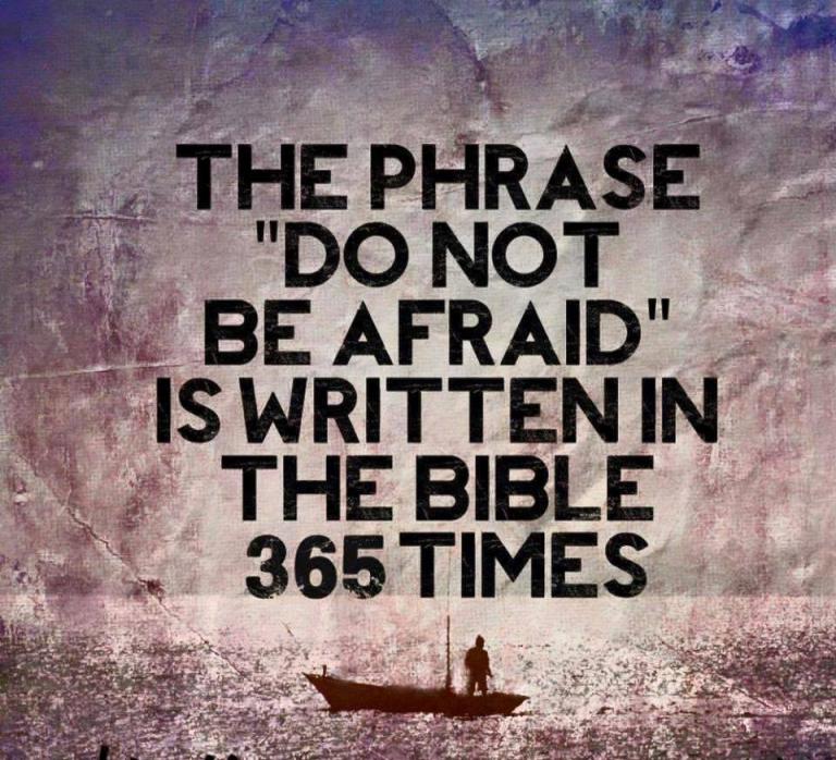 Do Not Be Afraid Bible 365 Times