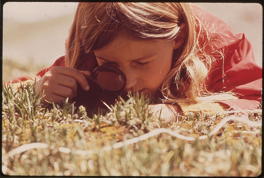GIRL_USES_A_MAGNIFYING_GLASS_TO_STUDY_PLANT_LIFE_IN_THE_TUNDRA_OF_THE_ROCKY_MOUNTAINS._THE_DENVER_PTA_SPONSORED_A..._-_NARA_-_543740