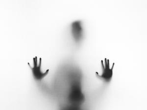 ego