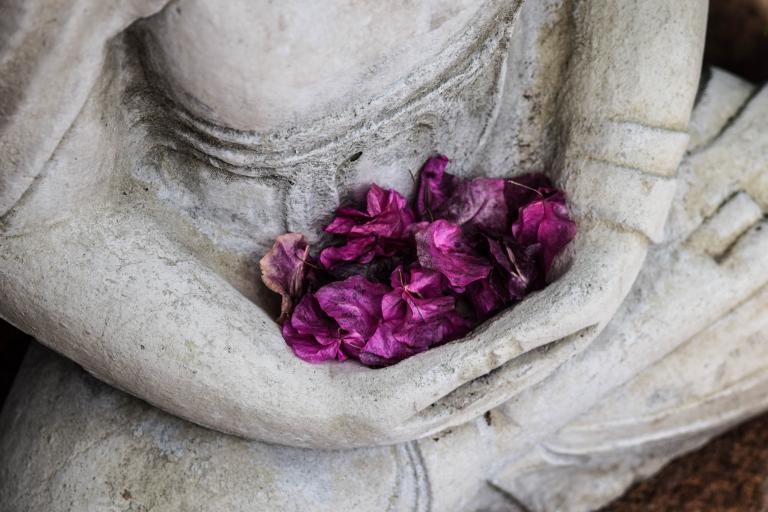 Close up of a buddha statue's hands with flower petal offerings in the clasped palms.