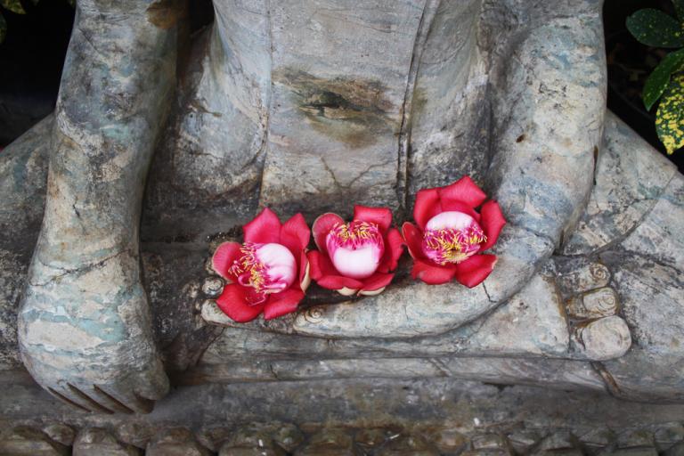 a close-up of a Buddha statue cradling three magenta flowers in his cupped hand