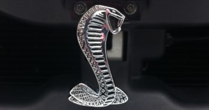 Cobra