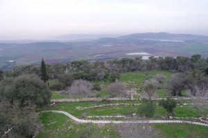 The fields of Galilee, as seen from Mt. Tabor...