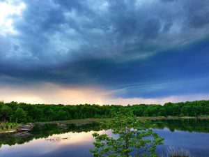 Huntley Meadows by Mrs. Gemstone Creative Commons 2.0 license