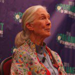 Activist Jane Goodall Photo © Wesley Hildebrand