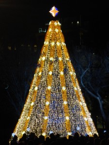National Christmas Tree Lighting photo by Nguyen^2 (cc) 2015