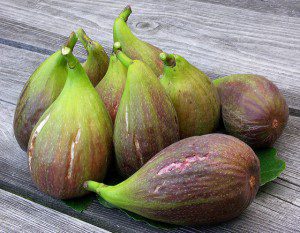 9 big figs. Photo by Badly Drawn Dad (cc) 2009.