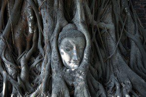 Indiana jones and the mysterious head. photo by Davidlohr Bueso (cc) 2010.