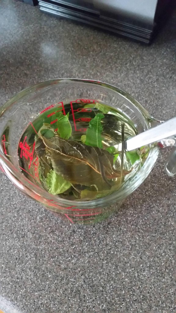 Home-grown Herb Tea. Photograph by Allison Ehrman