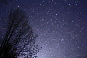 Photo: Michael J. Bennett (Own work)