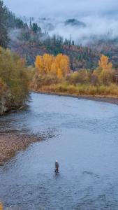 RRBP_Rogue_River_Fall_flyfishing.jpg2_(23160755862)