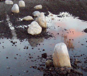 Moon Garden, Portland, ME, photo by Low Tide