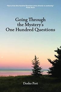 One Hundred Questions book cover