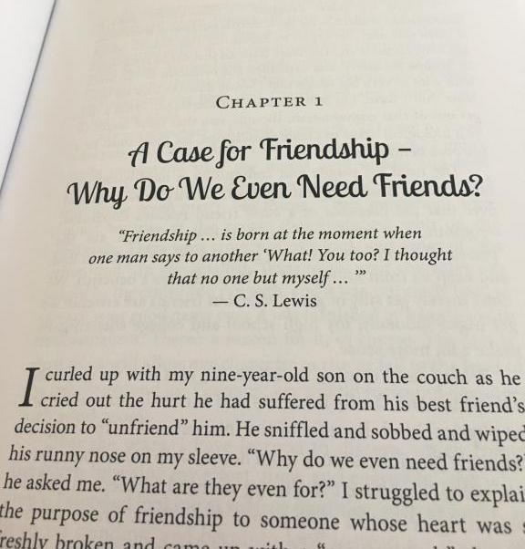 excerpt from "Can We Be Friends?" by Rebecca Frech