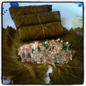 Grape leaves